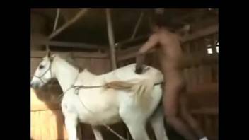 Man humps horse and his wife in brutal manners