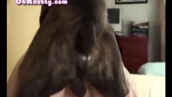 Hot woman appears getting hard fucked by a great Dane in hot scenes