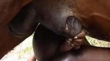 Ebony woman plays with the horse dong in super sloppy modes