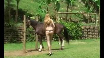 Hottie takes good care of a big horse cock in real outdoor zoo scenes