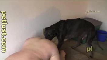 Crazy POV home fuck play with a naked milf and her horny dog