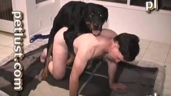 Naked man throats the dog cock then lets the animal to cum on him