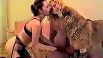 Two lustful sluts in black lingerie getting gaped by a horny dog
