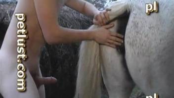 Horny younger dude puts his cock in a mare's pussy
