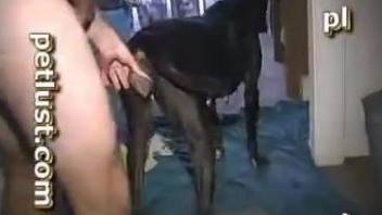 Thirsty dude banging a submissive black animal