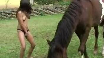 Brave brunette Latina takes a stallion dick outdoors
