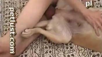 Dude puts his meaty penis in a dog's juicy pussy