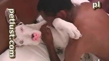 Nude man deep fucks the dog in brutal manners
