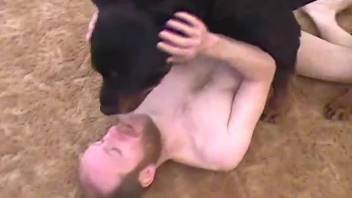 Rotweiller fucks naked man in the butt hole