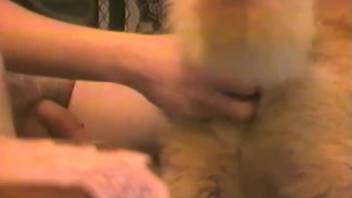 Guy humps fuzzy dog and then they change their roles