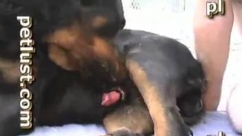 Dog fucks master and cums in his ass