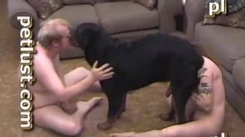 Dog sticks whole cock in master's throats