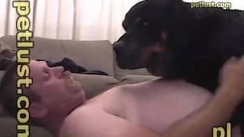 Rotweiller fucks horny amateur man during a home play