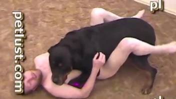 Bald-headed guy getting fucked anally by a doggo