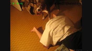 Wife enjoys full dog inches in her tiny holes