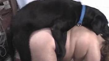 Doggy style fucking session with a smoldering BBW