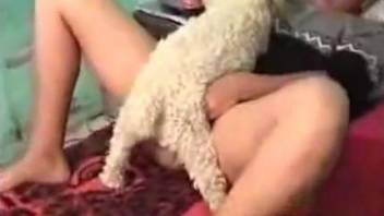 Dog humps woman's pussy after licking it in sloppy manners