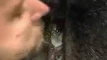 Strong cock for a warm horse pussy in scenes of amateur zoophilia