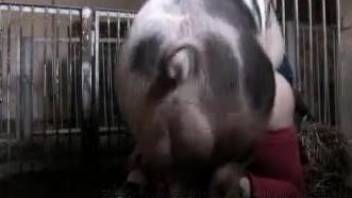 Big horny pig destroying that tight hole from behind