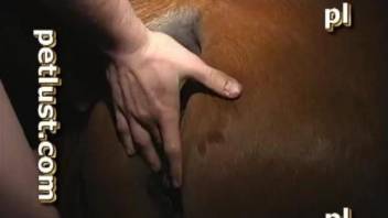 Thirsty dude fucking a mare's hot pussy from behind