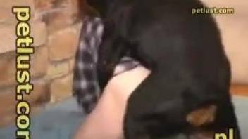 Dude with a hairy ass gets fucked by a black dog