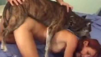 Redheaded chick fucks a dog in front of her kinky BF