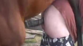 Fat booty zoophile getting drilled by a kinky stallion