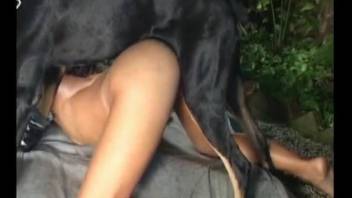 Latina with sexy ass, insane anal porn with a real dog