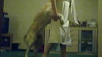 Dog dominating an innocent amateur chick in a RAW video