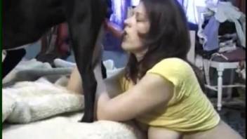 Dashing female throats large dog dick in homemade amateur kink