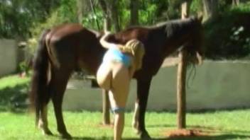 Blond-haired Latina eagerly teasing a sexy horse