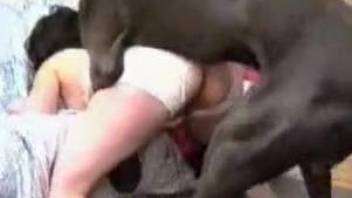 Wet zoophile pussy getting screwed by a kinky dog