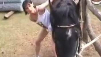 Brunette getting ravaged by a well-endowed stallion