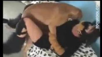 Fursuit brunette seducing her big-dicked dog