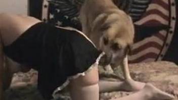 Big booty MILF bitch getting wrecked by a hung dog