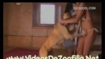 Woman does zoophilia in really intense XXX hardcore scenes