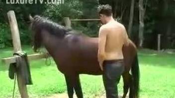 Horned-up gay twink getting his asshole fucked by a stallion