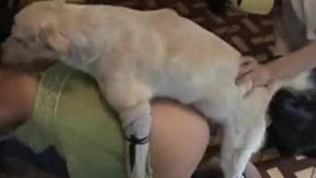 Needy babe sits on all four to have sex with the horny dog