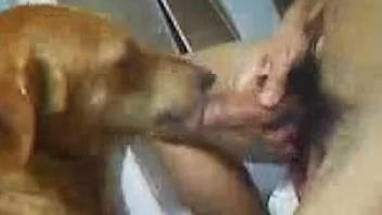 Dude with a throbbing cock pounds his sexy bitch