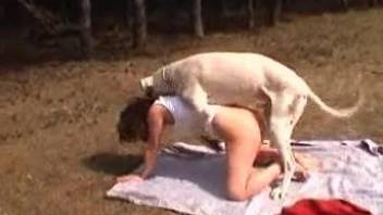 Nude woman enjoys large dog inches into her wet pussy