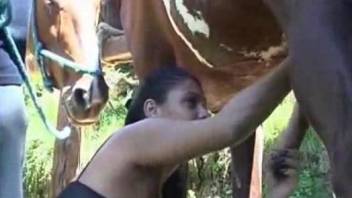 Latina babe sucking on a stallion's cock in public