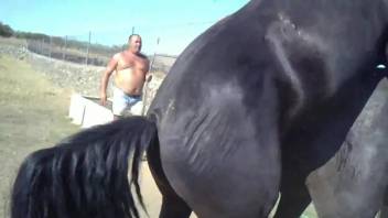 Massive horse cock violating the mare's hole