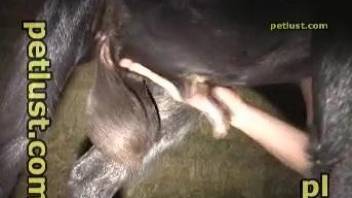 Dude drilling an animal's small tight cunt from behind