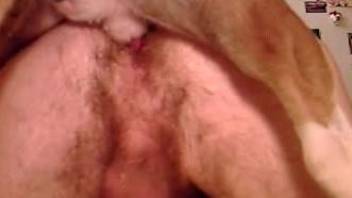Anal