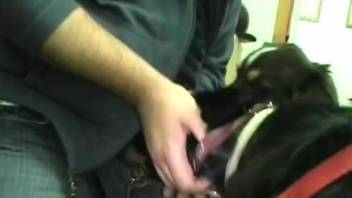 Fat dude fucking his obedient dog's sexy little throat