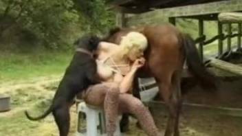 Blonde enjoys a threeway with a dog and horse