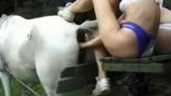 Deranged bestiality addict fisting a mare's hot pussy