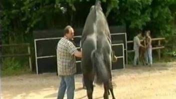 Horses fucking make horny zoo porn lover excited