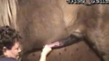 Mature handles horse's huge dick in really naughty intimacy
