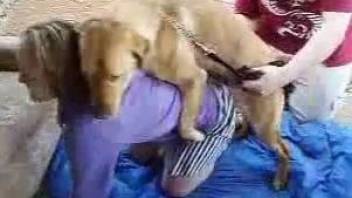 Phat booty blonde getting ravaged by a kinky pooch